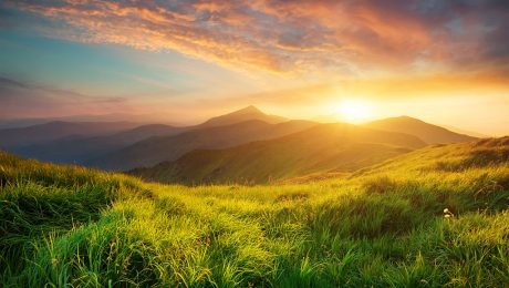 Mountain valley during sunrise. Natural summer landscape